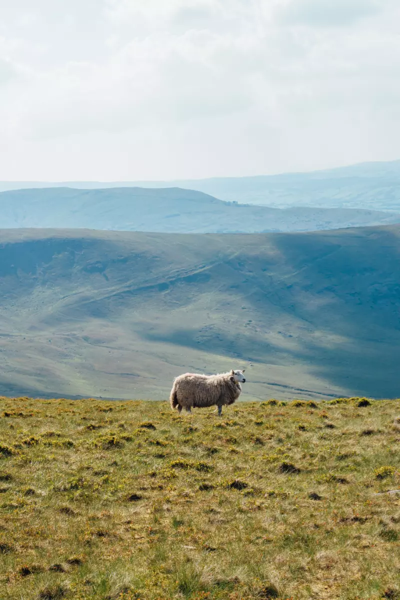 Brecon Beacons - Best Places To Go In A Motorhome UK